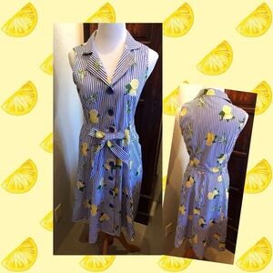 Lemon and Stripe Shirtwaist Deess